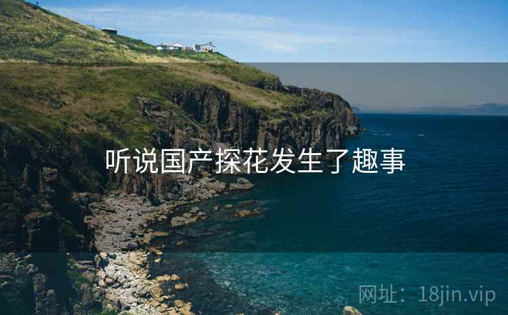 听说国产探花发生了趣事