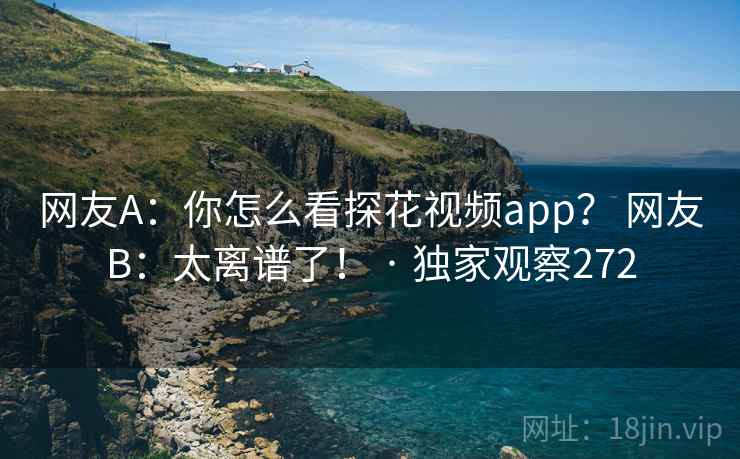 网友A：你怎么看探花视频app？ 网友B：太离谱了！ · 独家观察272